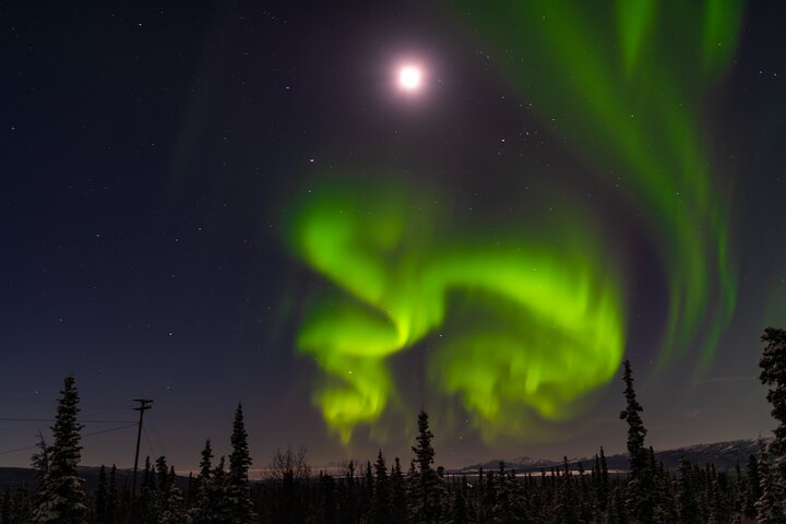 Northern Lights Adventure of a Liftetime from Anchorage - Photo 1 of 25